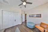 11909 Climbing Fern Avenue - Photo 46