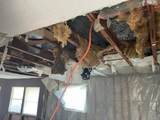 13229 Jazz Lane - Photo 16