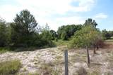  Old East Lake - Photo 23
