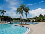 10517 Palm Cove Avenue - Photo 82