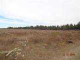17520 County Line Road - Photo 1