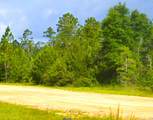 Cleveland Drive - Photo 1