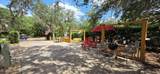 376 Bear Trail - Photo 5