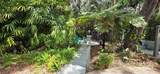 309 Gator Alley - Photo 4