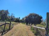 44150 County Road 54 - Photo 15