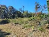 44150 County Road 54 - Photo 20