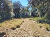 44150 County Road 54 - Photo 23