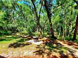 3529 Tanglewood Trail - Photo 2