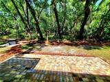 3529 Tanglewood Trail - Photo 33