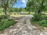 33403 Mandrake Road - Photo 12