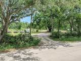 33403 Mandrake Road - Photo 13