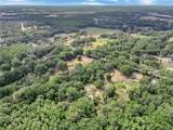 33403 Mandrake Road - Photo 6