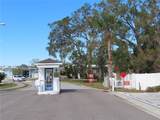 35242 Dodie Drive - Photo 48