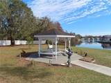 35242 Dodie Drive - Photo 51
