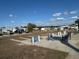 35242 Dodie Drive - Photo 54