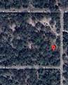 12399 Baltic Ivy Street - Photo 12