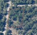 12399 Baltic Ivy Street - Photo 15