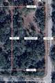 12399 Baltic Ivy Street - Photo 2