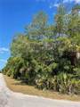 12399 Baltic Ivy Street - Photo 5