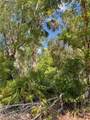 12399 Baltic Ivy Street - Photo 6