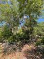 12399 Baltic Ivy Street - Photo 7
