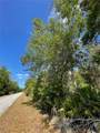 12399 Baltic Ivy Street - Photo 8