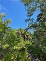12399 Baltic Ivy Street - Photo 9