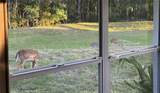 4012 Woodacre Lane - Photo 38
