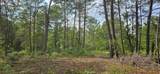 6283 Bowdoin Avenue - Photo 1