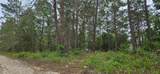 6283 Bowdoin Avenue - Photo 3
