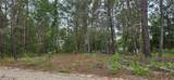 6283 Bowdoin Avenue - Photo 4