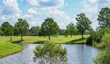13613 Laraway Drive - Photo 47