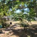501 4TH Street - Photo 18