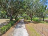 1202 Williams Road - Photo 66