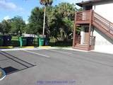 7006 Mascotte Street - Photo 8