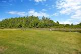 4831 Rosatti Road - Photo 47