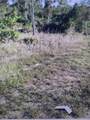 6871 Fort Myers Drive - Photo 4