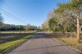 1206 Fisher Lane - Photo 3