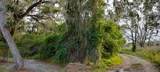 63 Sheltering Oaks Drive - Photo 13