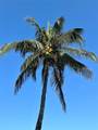 184 Banyan Bay Drive - Photo 49