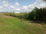 102 Harness Road - Photo 4