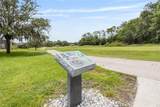 25942 Risen Star Drive - Photo 44