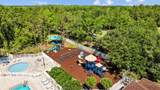 25942 Risen Star Drive - Photo 50
