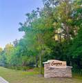 1147 Halapa Way - Photo 85