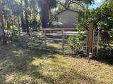 8157 Anchor Point Drive - Photo 3