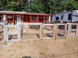 2002 Hawk Griffin Road - Photo 2