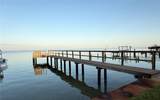 3227 Bayshore Boulevard - Photo 28