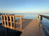 3227 Bayshore Boulevard - Photo 29