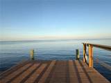 3227 Bayshore Boulevard - Photo 32