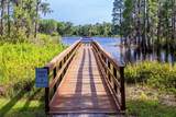 14245 Damselfly Drive - Photo 32